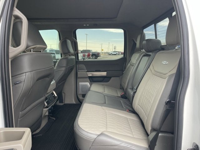 2024 Ford F-150 Platinum